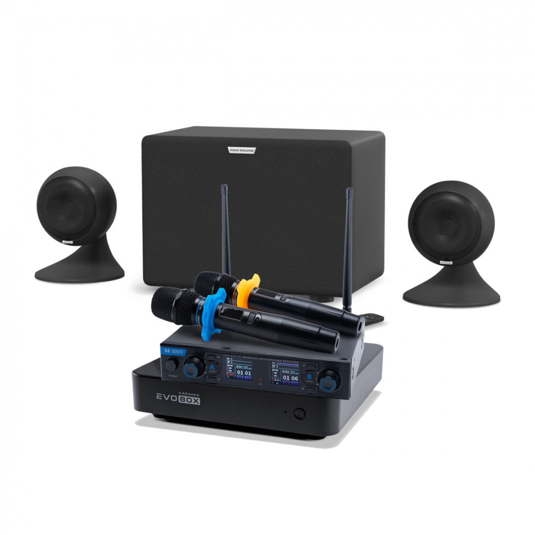 караоке-комплект EVOBOX + EvoSound Sphere 2.1 в Алапаевске
