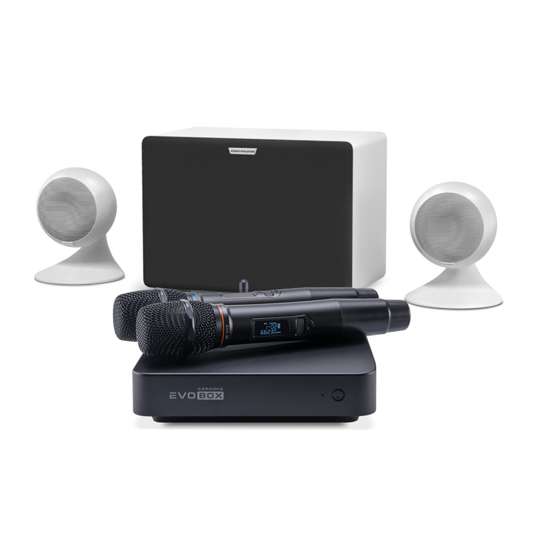 караоке-комплект EVOBOX Classic + EvoSound Sphere 2.1 в Алапаевске