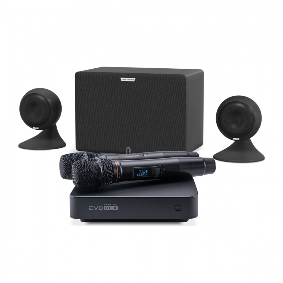 караоке-комплект EVOBOX Plus + EvoSound Sphere 2.1 в Алапаевске
