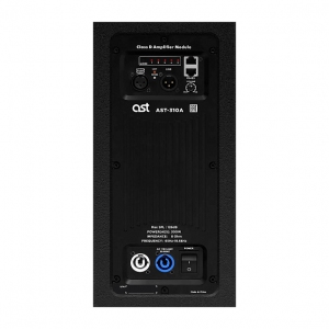 Активная акустическая система AST-310A в Алапаевске
