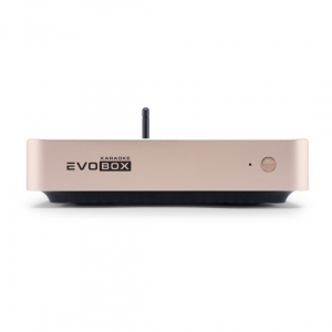 EVOBOX Plus караоке-система для дома в Алапаевске