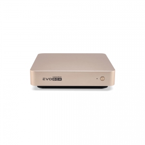 EVOBOX с микрофонами в Алапаевске